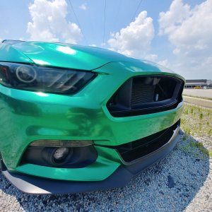 Crowd Killer Mustang Wrapped Layed Not Sprayed Brembo Ford