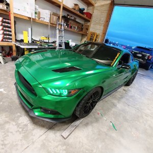 Crowd Killer Mustang Wrapped Layed Not Sprayed Brembo Ford