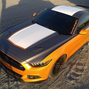 Orange Gray Custom S550 Mustang Ford