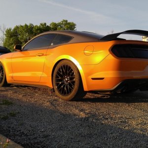 Orange Gray Custom S550 Mustang Ford