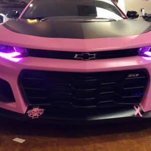 Breast cancer awareness, ZL1 1LE, Pink Car, Hot Pink, Custom Camaro, Track Car,